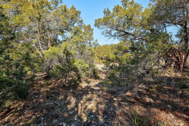 21005 Northland Dr, Lago Vista, TX 78645 - photo 3