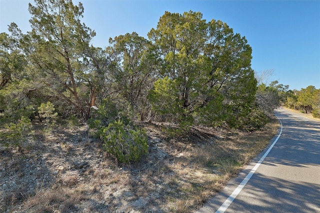 21005 Northland Dr, Lago Vista, TX 78645 - photo 8