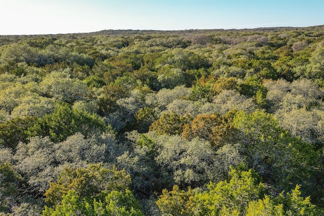 308 Ridge Oak Dr, Wimberley TX, 78676 land for sale