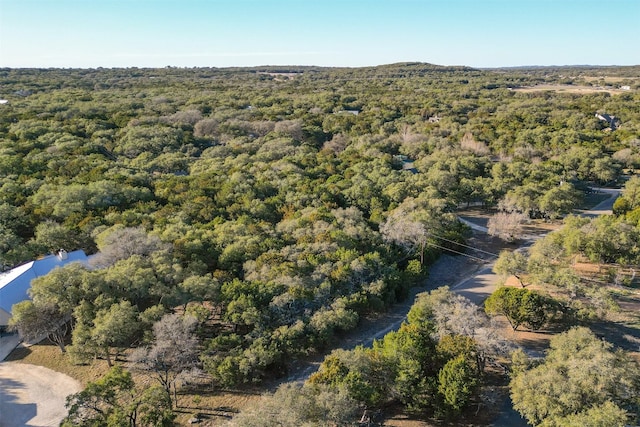 Listing photo 3 for 308 Ridge Oak Dr, Wimberley TX 78676