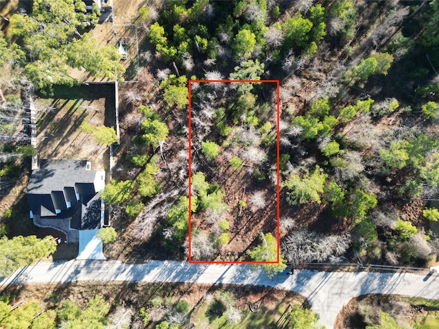 000 N Pahihi Dr, Bastrop TX, 78602 land for sale