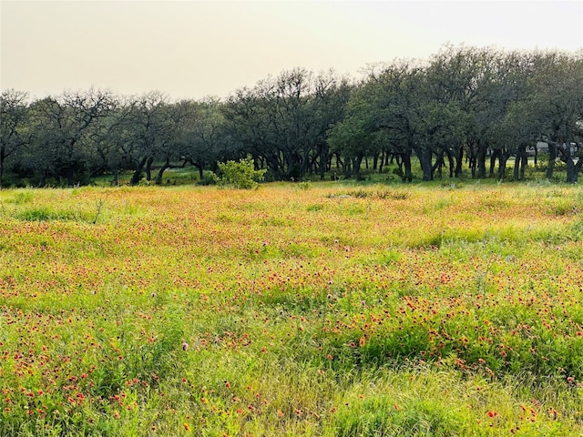 100 S Waterbuck Way, Lampasas TX, 76550 land for sale