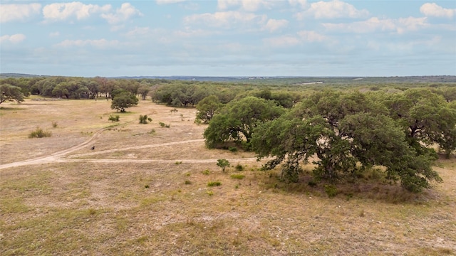 Listing photo 3 for LOT181 Blackbuck Ridge Dr, Lampasas TX 76550