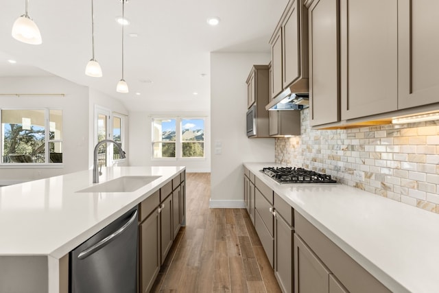 kitchen featuring backsplash, appliances with stainless steel finishes, a sink, wood finished floors, and under cabinet range hood