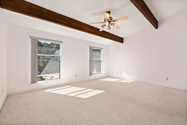 empty room featuring carpet floors, beam ceiling, and ceiling fan