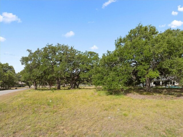 8417 Lakewood Ridge Cv, Austin, TX 78738 - photo 7