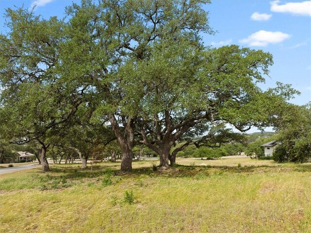 8417 Lakewood Ridge Cv, Austin, TX 78738 - photo 9
