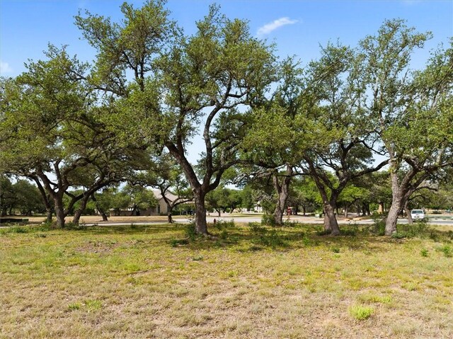 8417 Lakewood Ridge Cv, Austin, TX 78738 - photo 10