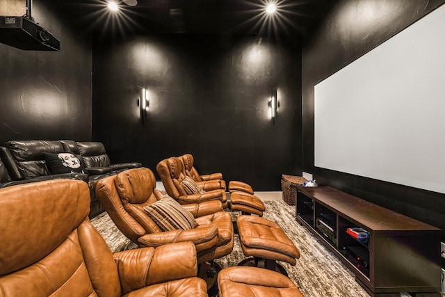 view of cinema room