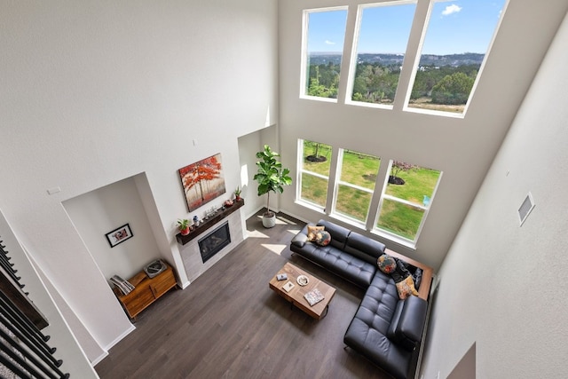 living room with a high ceiling and dark wood-type flooring