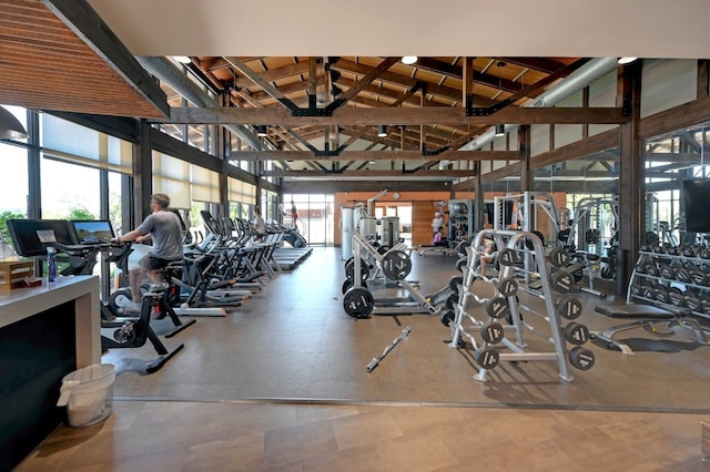 exercise room with high vaulted ceiling