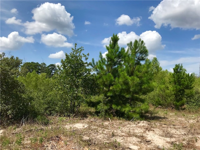 Listing photo 3 for LOT50 Martin Ln, Paige TX 78659