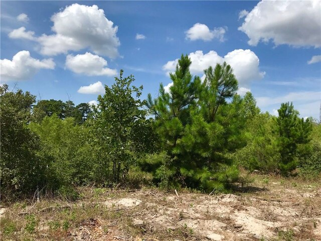 LOT50 Martin Ln, Paige, TX 78659 - photo 3