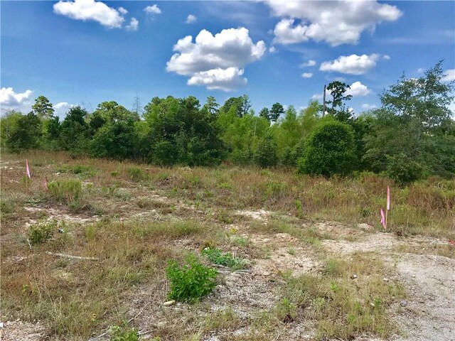 LOT50 Martin Ln, Paige, TX 78659 - photo 4
