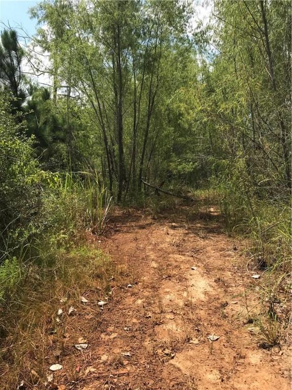 LOT50 Martin Ln, Paige, TX 78659 - photo 5