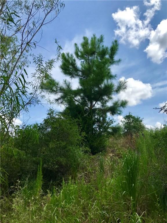 LOT50 Martin Ln, Paige, TX 78659 - photo 6