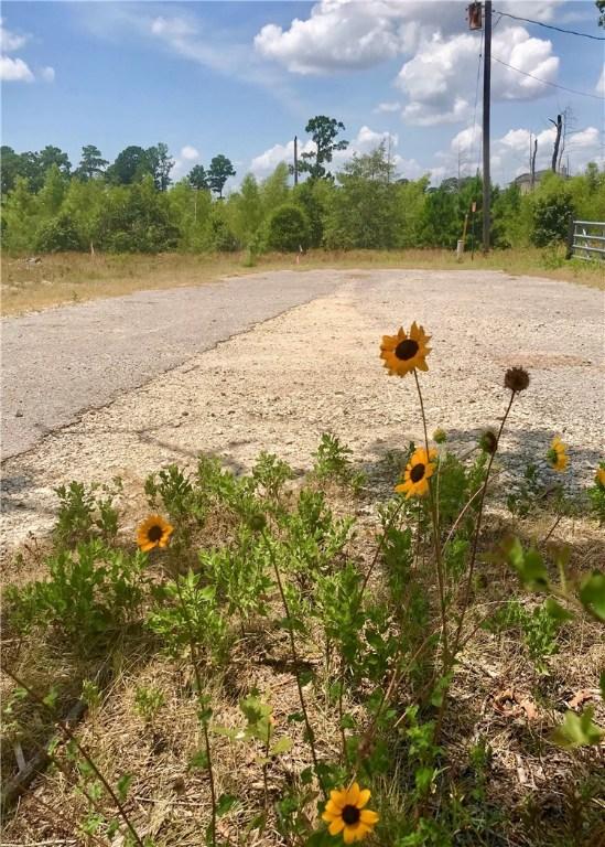 LOT50 Martin Ln, Paige, TX 78659 - photo 8