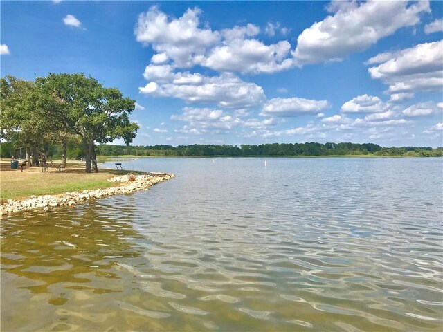 LOT50 Martin Ln, Paige, TX 78659 - photo 11