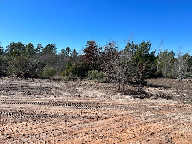 LOT50 Martin Ln, Paige TX, 78659 land for sale