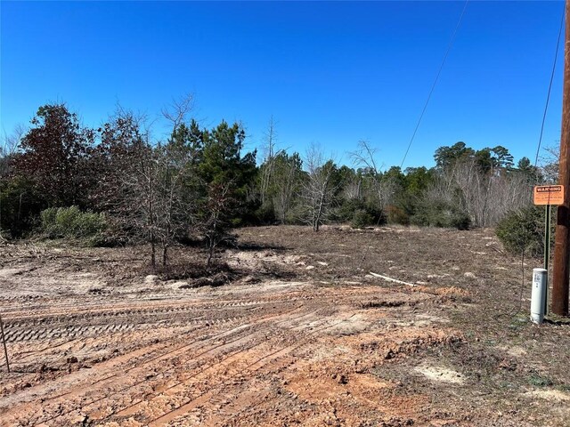 LOT50 Martin Ln, Paige, TX 78659 - photo 13