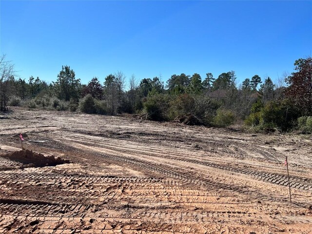 LOT50 Martin Ln, Paige, TX 78659 - photo 14
