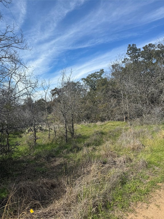 Listing photo 2 for LOT7 Radium Dr, Burnet TX 78611