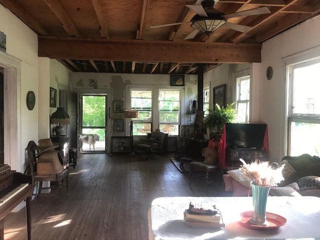 living room featuring a healthy amount of sunlight, dark wood-type flooring, and beam ceiling