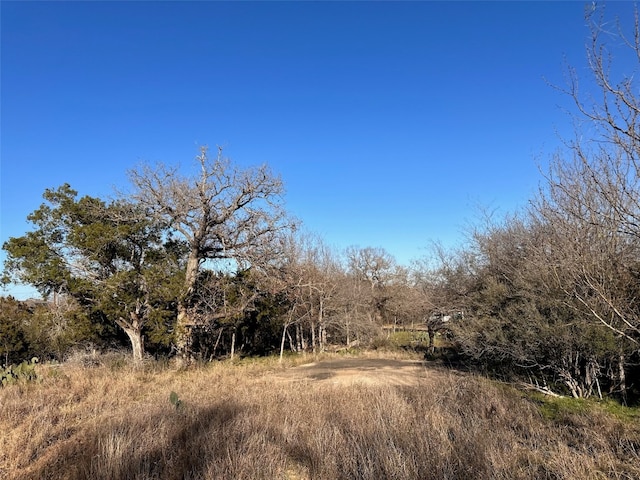 LOT211 Pecan Ln, Cottonwood Shores TX, 78657 land for sale