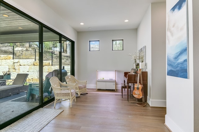 sitting room featuring wood-type flooring