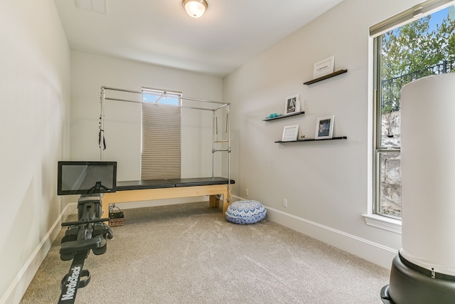 misc room with carpet and plenty of natural light