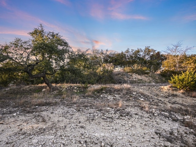 view of nature at dusk