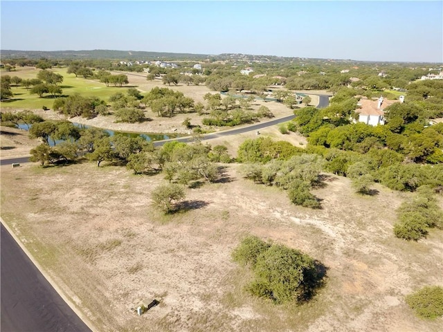 2900 Cliff Overlook, Spicewood, TX 78669 - photo 4