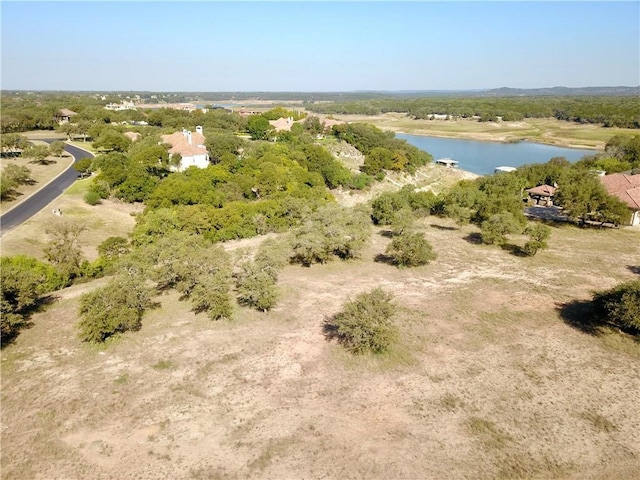 2900 Cliff Overlook, Spicewood, TX 78669 - photo 5