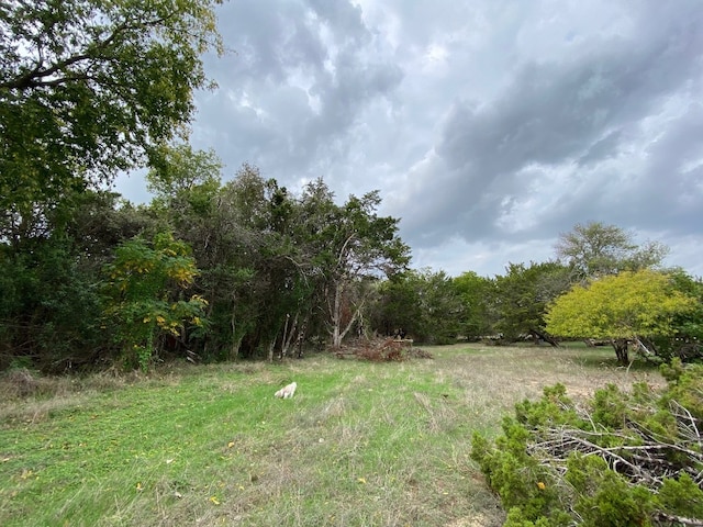 Listing photo 3 for 13008 Ben Milam Dr, Manchaca TX 78652