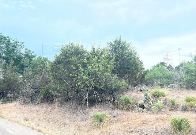 Listing photo 2 for LOT281 Briarway Dr, Granite Shoals TX 78654