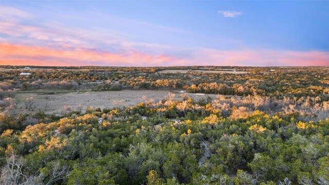 LOT5 W Fitzhugh Rd, Dripping Springs, TX 78620 - photo 2