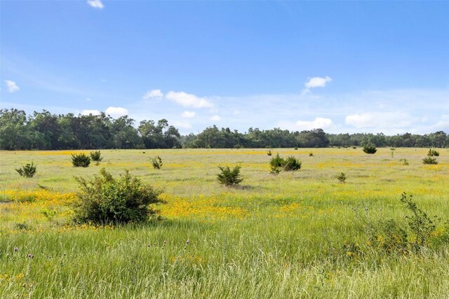 LOT5 W Fitzhugh Rd, Dripping Springs, TX 78620 - photo 10
