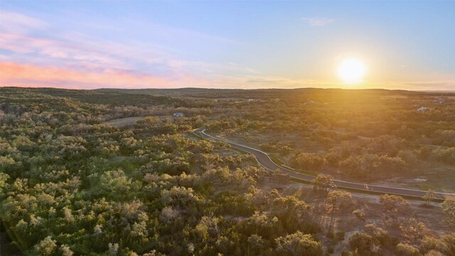 LOT5 W Fitzhugh Rd, Dripping Springs, TX 78620 - photo 14