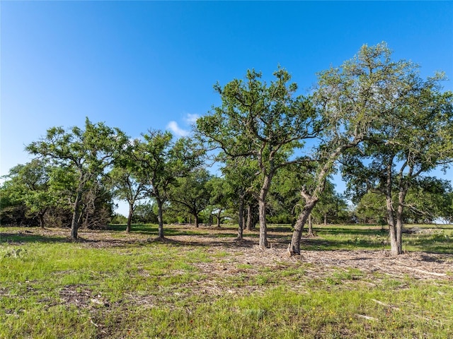 Listing photo 3 for TBD Cr108, Burnet TX 78611