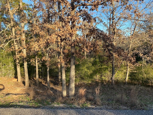 0 N Pohakea Dr, Bastrop, TX 78602