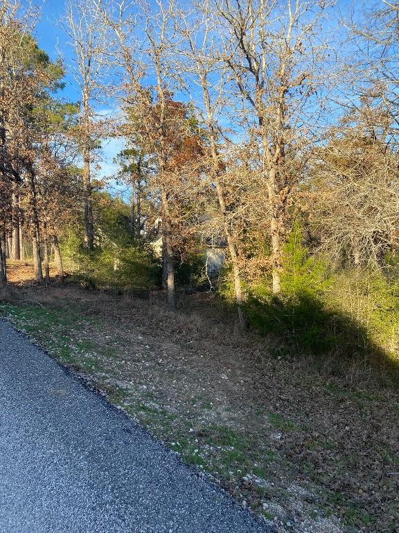 0 N Pohakea Dr, Bastrop, TX 78602 - photo 2