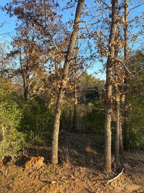 0 N Pohakea Dr, Bastrop, TX 78602 - photo 5