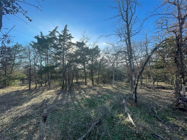 1698 Sandy Creek Rd, Red Rock, TX 78616 - photo 3