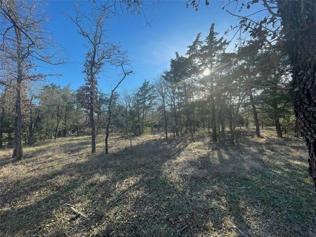 1698 Sandy Creek Rd, Red Rock, TX 78616 - photo 4