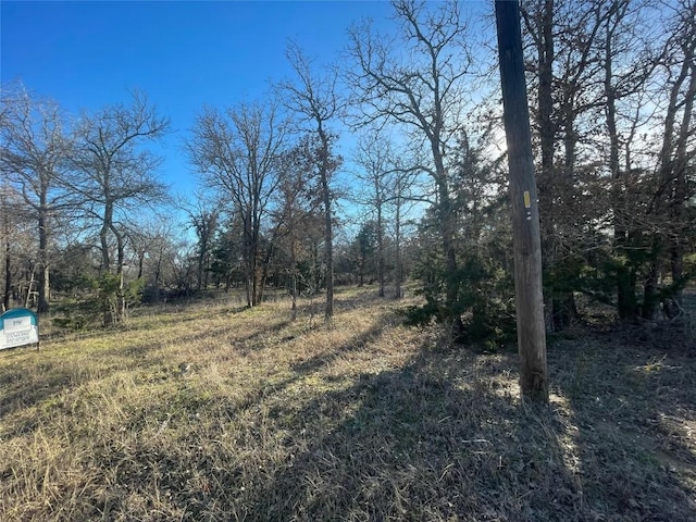 1698 Sandy Creek Rd, Red Rock, TX 78616 - photo 5