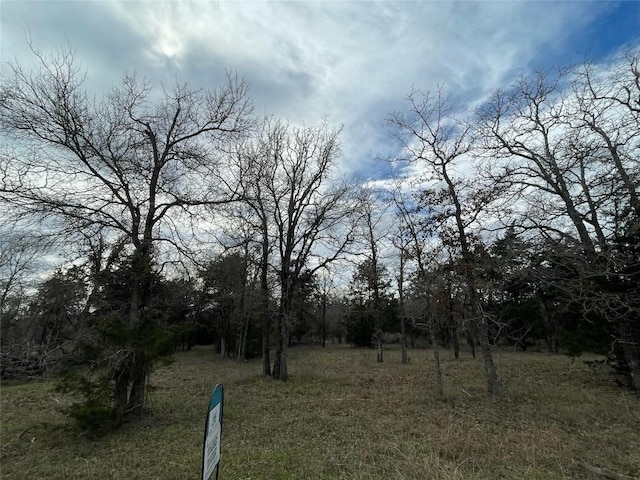 1698 Sandy Creek Rd, Red Rock, TX 78616 - photo 6