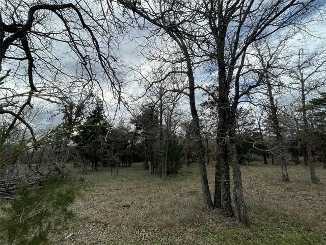 1698 Sandy Creek Rd, Red Rock, TX 78616 - photo 7