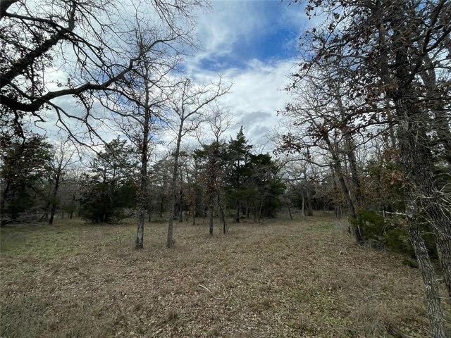1698 Sandy Creek Rd, Red Rock, TX 78616 - photo 8
