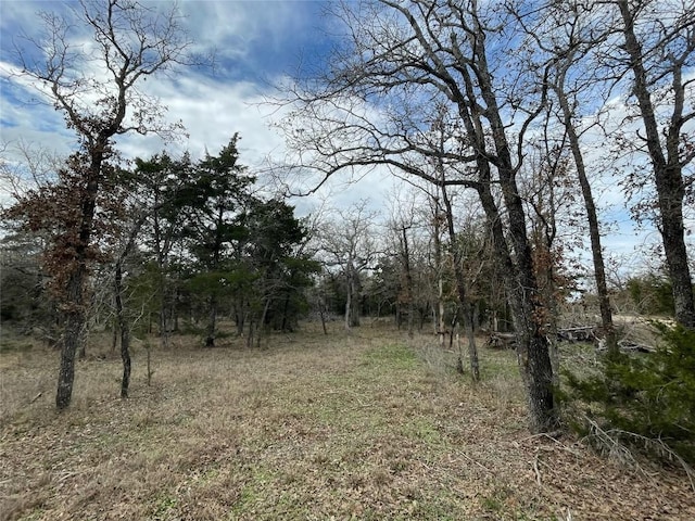 1698 Sandy Creek Rd, Red Rock, TX 78616 - photo 9