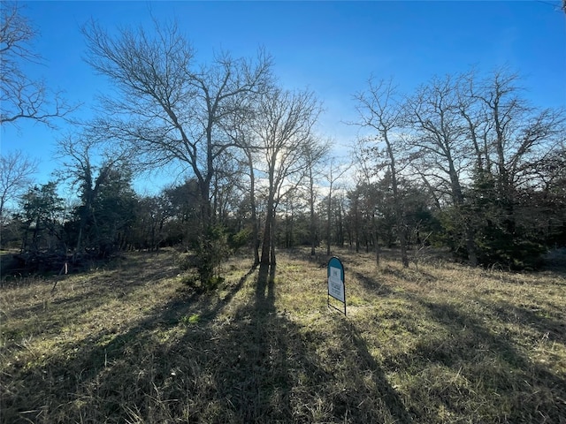 1698 Sandy Creek Rd, Red Rock TX, 78616 land for sale